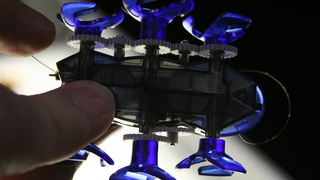 Hexbug Robot Ants Can Outrace Real Cockroaches